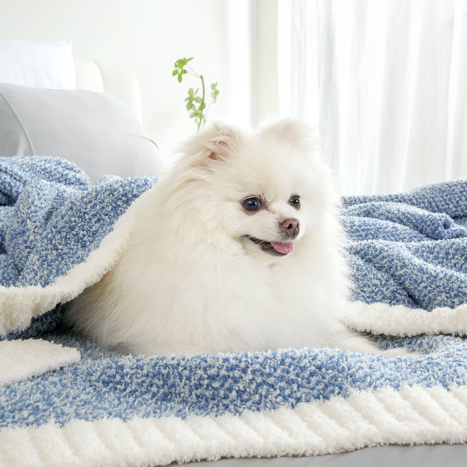 A dog under Snuggle Sac Heather Feather Yarn Pale Blue Knit Throw Blanket #Color_Pale Blue