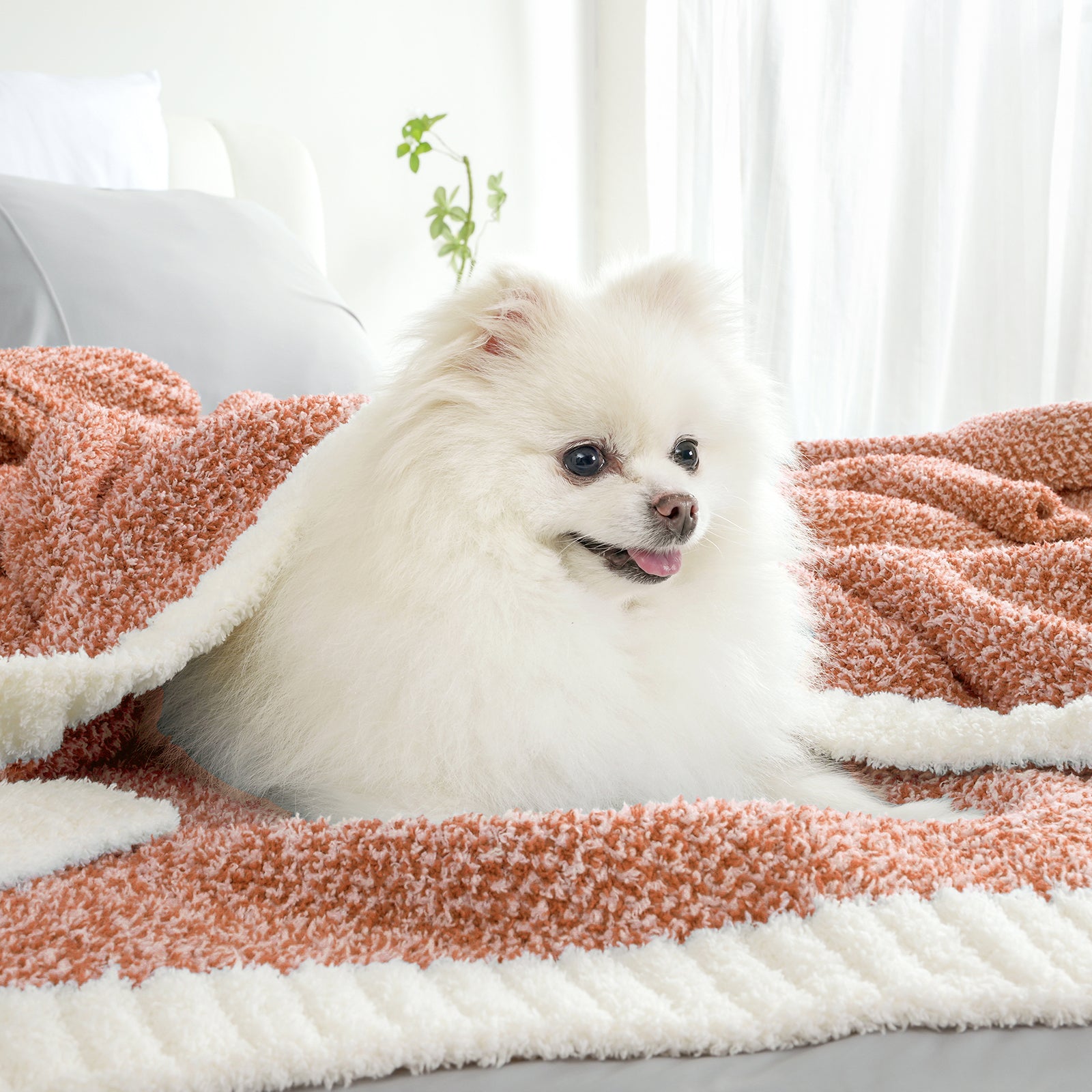 A dog under Snuggle Sac Heather Feather Yarn Knit Throw Blanket#Color_Orange