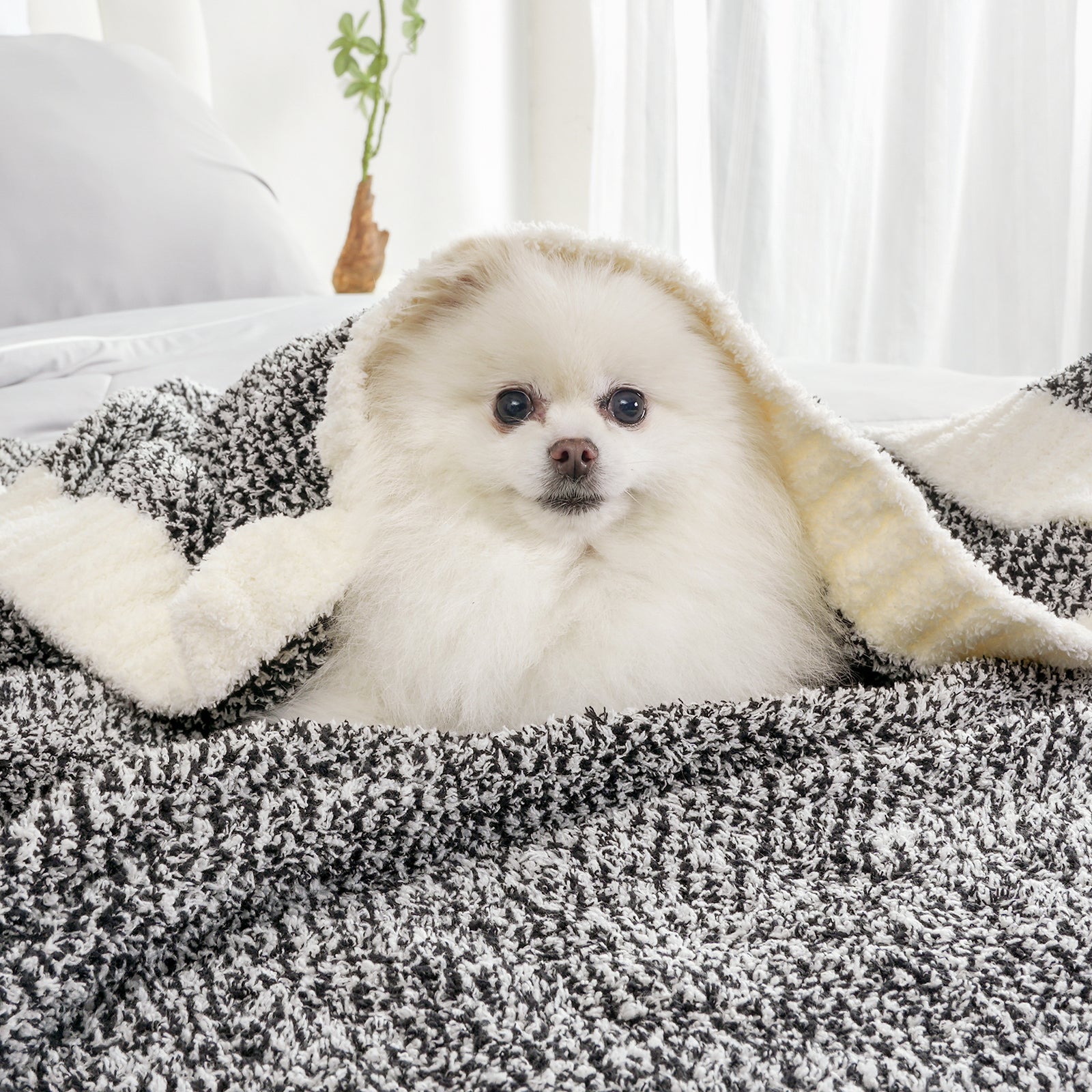 A dog under Snuggle Sac Heather Feather Yarn Knit Throw Blanket#Color_Black
