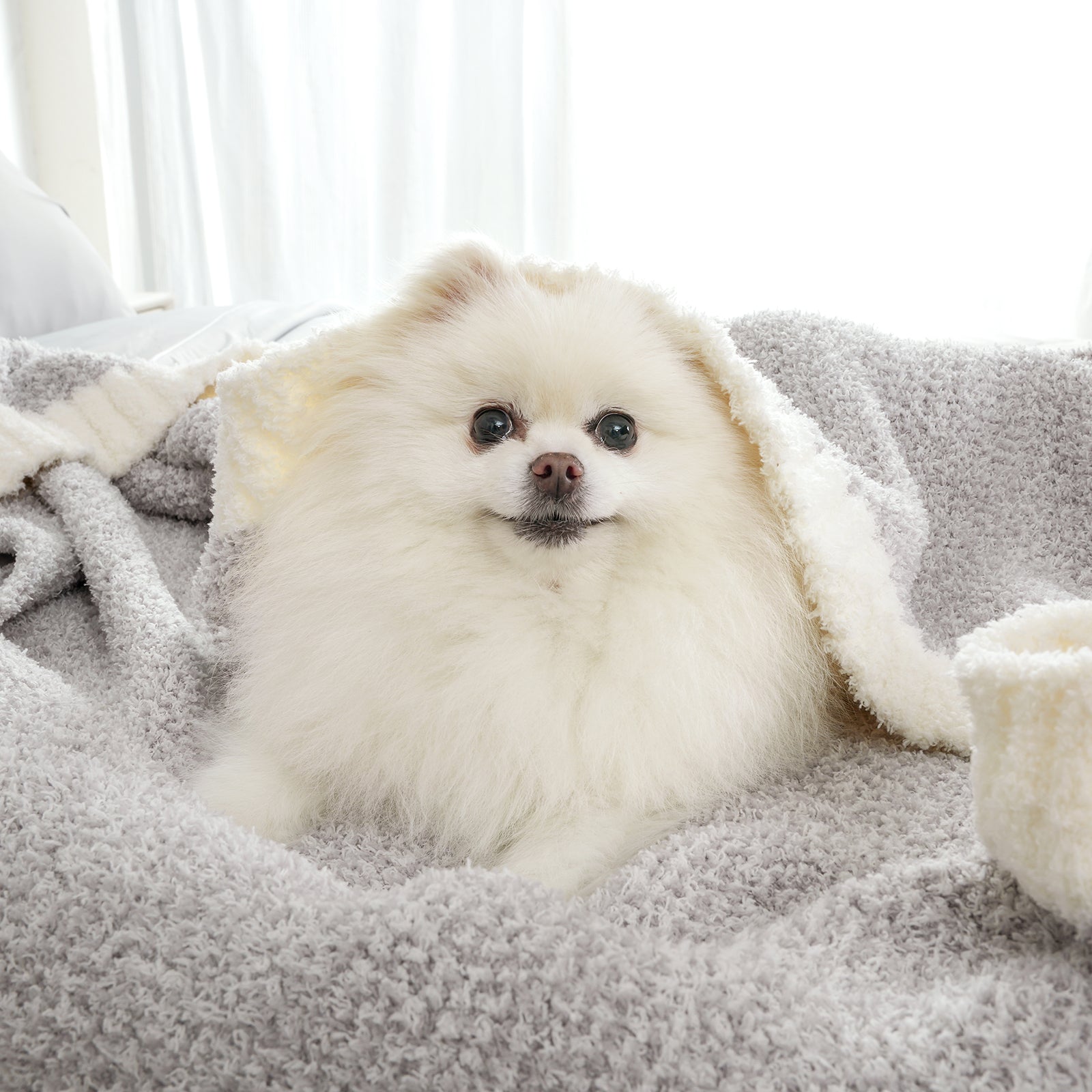 A dog under Snuggle Sac Heather Feather Yarn Knit Throw Blanket#Color_Grey