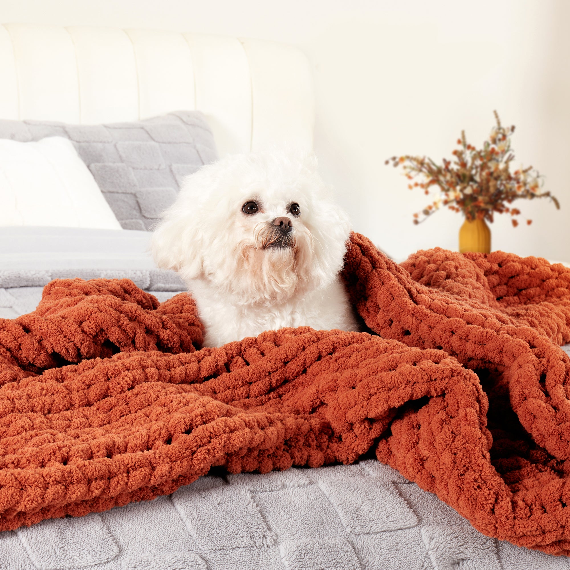 Dog resting on a chunky knit throw blanket in Burnt Orange with soft and cozy texture #color_Burnt Orange