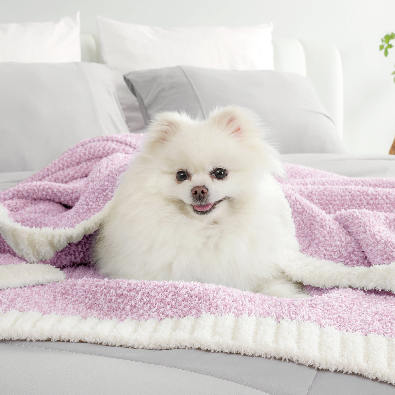A dog under Snuggle Sac Heather Feather Yarn Knit Throw Blanket#Color_Lilac