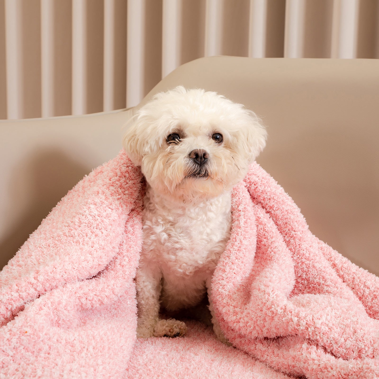 A dog wrapped under Snuggle Sac Heather Feather Yarn Knit Throw Blanket#Color_Pink