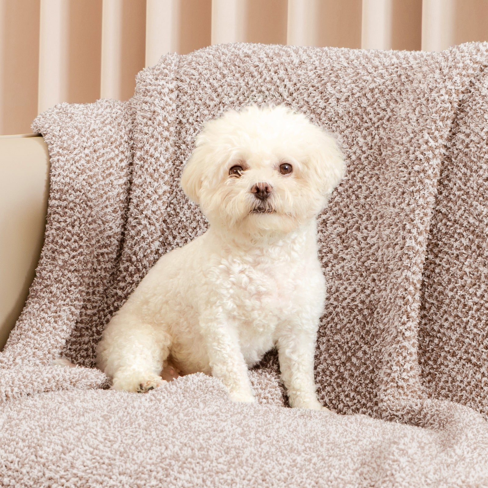 A dog under Snuggle Sac Heather Feather Yarn Knit Throw Blanket#Color_Taupe