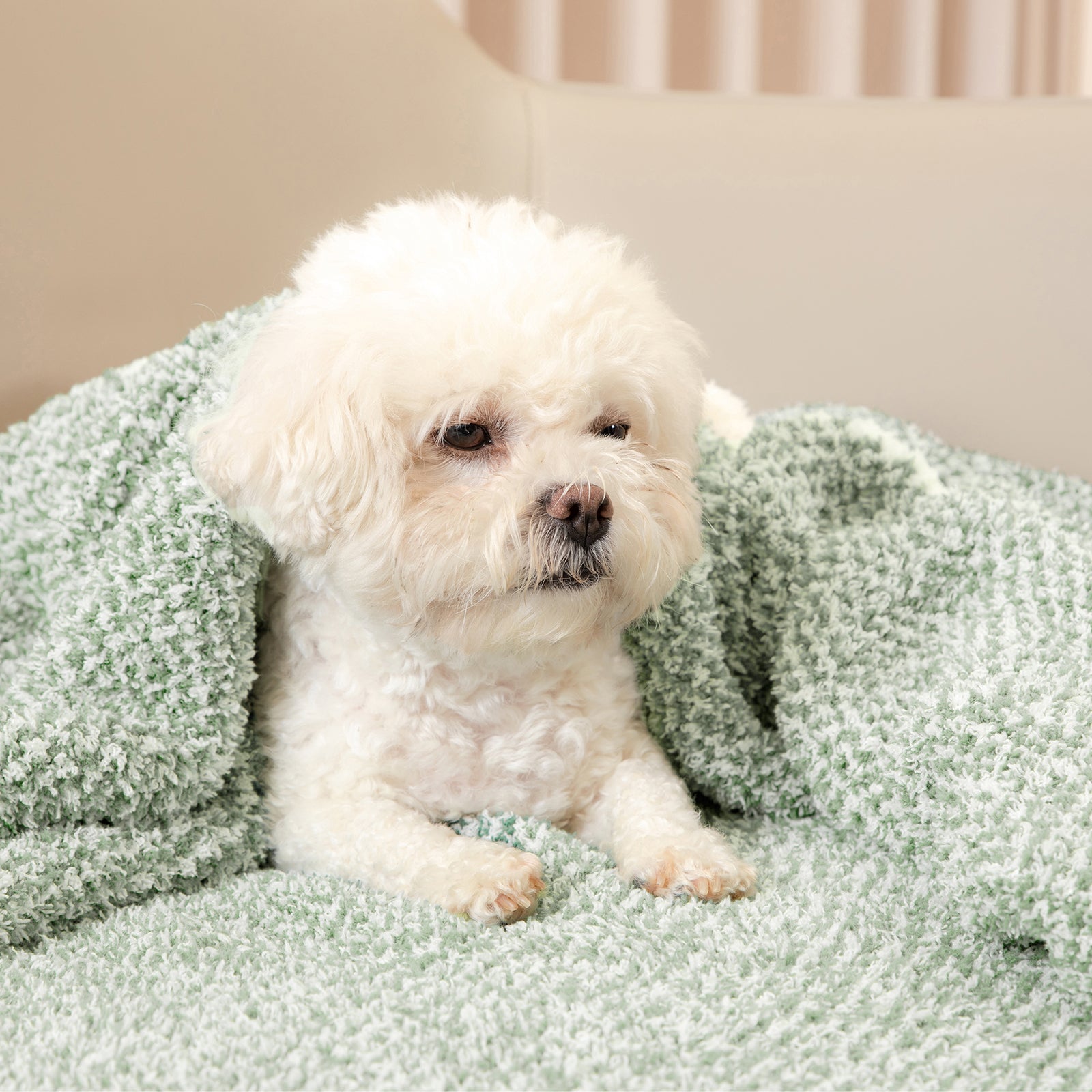A dog under Snuggle Sac Heather Feather Yarn Knit Throw Blanket#Color_Sage Green
